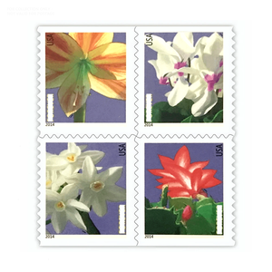 <span class=keywords><strong>Estampillas</strong></span> <span class=keywords><strong>de</strong></span> flores <span class=keywords><strong>de</strong></span> EE. UU. 2025, etiquetas <span class=keywords><strong>de</strong></span> bandera, sellos postales para siempre, pegatinas <span class=keywords><strong>de</strong></span> sellos postales <span class=keywords><strong>de</strong></span> EE. UU., etiquetas <span class=keywords><strong>de</strong></span> sellos postales adecuadas para empresas - Product Image 6