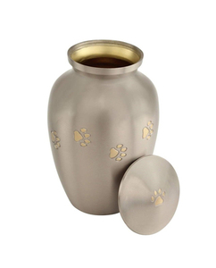 Decorative Stainless Steel Modern Eco-Friendly Pet Cremation Urns <b>for</b> Dog <b>Ashes</b> Small Funeral Supplies Wholesale - Product Image 1