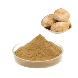 Poudre de champignon Crinière de lion pure OEM la plus vendue, poudre naturelle d'Hericium Erinaceus pour la santé cérébrale, la concentration et le soutien de la mémoire - Product Image 3