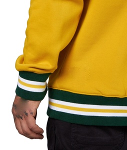 OEM broderie imprimée à manches longues sweat à capuche automne et hiver personnalisé mens grande taille sport logo personnalisé - Product Image 1