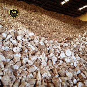 Polvo de Residuos de Tapioca Premium - Polvo de Producto Derivado de Yuca para Alimentación Animal Kim Minh International, 12 Meses de Vida Útil - Product Image 2