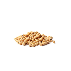 ขายส่งถั่วเหลือง GMO จำนวนมากสำหรับผู้ผลิตอาหารและโรงงานแปรรูปน้ำมัน - Product Image 4