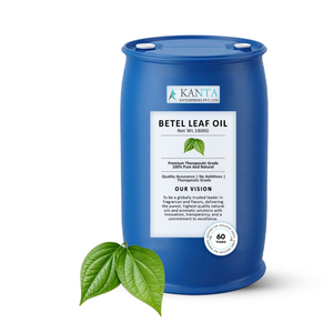 Export Quality Meetha Betel Leaf <b>Essential</b> <b>Oil</b> Pure Natural <b>Oil</b> Wholesale Manufacturer and Bulk Supplier India - Product Image 2