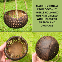 Meilleure Vente : Pot de Plante en Coque de Noix de Coco, Gravure Laser Personnalisée, Sculpté à la Main, Suspendu, Écologique, Durable, pour Jardin, Extérieur et Maison