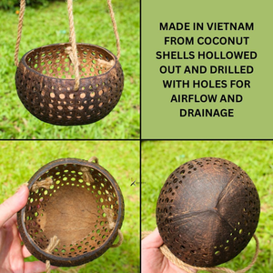 Meilleures ventes : Pot de culture en fibre de coco avec logo gravé au laser, écologique et durable, fabriqué au Vietnam pour la maison et le jardin - Product Image 4