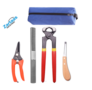Kit d'outils de fermeur professionnel de 8 pouces, comprenant mini-râpe, lime à sabots, cisailles métalliques pour sabots de chèvre, porc et équidés, et coupe-sabots. - Product Image 5