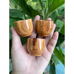 Juego de teteras de coco hecho a mano con cáscara de coco y madera para servir té, decoración del hogar, regalo, proveedor de Vietnam - Product Image 4