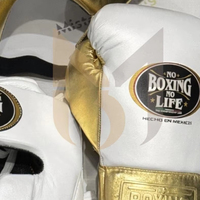 Ensemble de sparring de boxe personnalisé « No Boxing No Life » – Kit de sparring de boxe professionnel en cuir de haute qualité avec gants, protège-tête et protège-guêtres