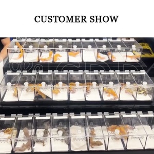 Mô hình rắn bò sát bao vây triển lãm thương mại hiển thị đứng mạnh mẽ trong suốt Acrylic 3 kệ hộp cho bò sát rắn hiển thị - Product Image 6