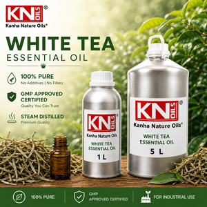 น้ำมันหอมระเหยชาขาวพรีเมียม คาเมลเลีย ไซเนนซิส บริสุทธิ์ 100% ออร์แกนิค รับรองมาตรฐาน จำหน่ายส่งออกและขายส่งทั่วโลก - Product Image 1