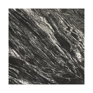 Compre Granito Negro Forestal Moderno en Losa Grande para Encimeras de Cocina, Sala de Estar y Exteriores de Villas - Product Image 5