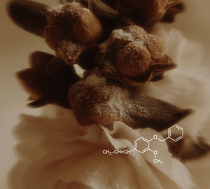 Benzil Isoeugenol, Fragancia Aromática Natural (CL-803), Aroma a Vainilla - Product Image 2