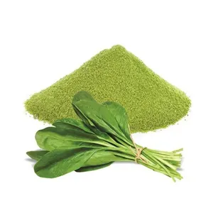 Polvo de Espinaca Secado por Aspersión - Polvo Verde Rico en Hierro y Calcio, Alto en Proteínas, Nombre Científico Spinacia Oleracea, para Smoothies/Batidos - Product Image 3