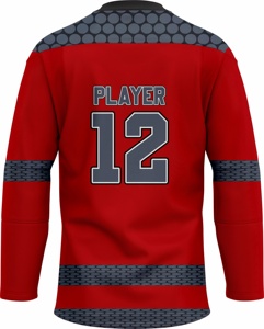Haute qualité 100% Polyester Sublimation maillot de Hockey sur glace personnalisé tout Style haut cousu Hockey porter Tack entreprises TE-4117 - Product Image 2