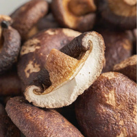 Halal gecertificeerde FD gearomatiseerde gesneden knapperige shiitake paddenstoelenchips, laag temperatuur gebakken, bulk snack, 100% natuurlijk gedroogd gemengd