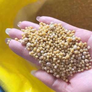 Engrais DAP agricole de qualité supérieure pour l'exportation en vrac, granulés riches en phosphore dans des sacs PP robustes pour les acheteurs importateurs - Product Image 2