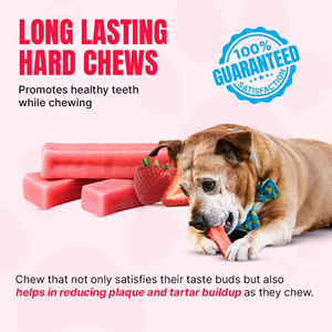 Premium 100% Natural Dog Treat Himalayan Yak High Protein Dental Care Joint Safe Soft Chews OEM ODM Suplemento privado para mascotas - Product Image 5