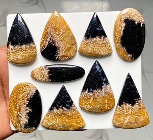 GEMAS MAHNAJ: Cabujón de Ágata de Raíz de Palma de la Mejor Calidad, Raro y Precioso, Gema Suelta para Joyería, Hecho en India, Rajastán - Product Image 1