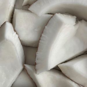 เนื้อมะพร้าวสดแช่แข็งแห้ง - Product Image 1
