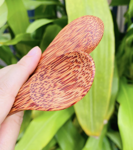 Cuchara de Madera de Coco de Fábrica Vietnamita para Cocinar y Servir, Utensilio de Cocina para el Hogar y Suministro para Restaurantes - Product Image 3