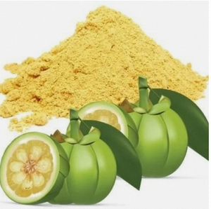 Extracto de Garcinia Cambogia en Polvo de Primera Calidad, 50%-60% HCA, Grado Alimenticio, a Granel, Suministro de la India - Product Image 5
