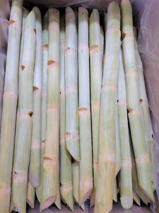 Morceaux de canne à sucre congelés pour l'extraction de jus commercial, nettoyés et transformés, matière première naturelle sucrée pour l'exportation mondiale en vrac - Product Image 3