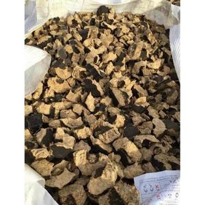 GIA NGUYEN Vente en gros d'usine de poudre de balle de riz séchée, litière brute pour petits animaux pour propriétaires d'animaux de compagnie, Vietnam - Product Image 1