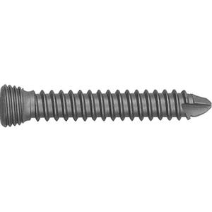 OFERTA ESPECIAL Implantes Veterinarios de Acero Inoxidable de Alta Calidad para Fijación Ósea, Tornillo Cortical 3.5, Manual, para Hospital - Product Image 4