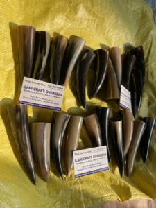 Pointe de corne de buffle naturelle, couleur naturelle, haute qualité - Product Image 3