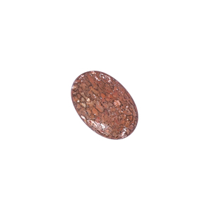 Pierre précieuse en os de dinosaure, 13,20 carats, 23x15mm, forme ovale, pierre brute - Product Image 3