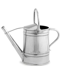 Luxury finish metal watering can for home decor plants long spout rustproof elegant durable watering <b>container</b> - Product Image 2