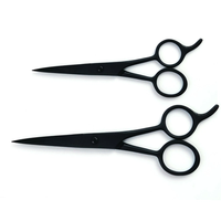 Ensemble de ciseaux de coiffeur professionnels, 2 pièces, ciseaux de coupe de salon en acier inoxydable, 13cm 15cm, instruments chirurgicaux