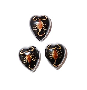 Golden Scorpion Real Specimen Plastic Cabochon <b>Heart</b> 17x21 mm <b>Black</b> Flat Bottom for Crafts and Jewelry Making - Product Image 6