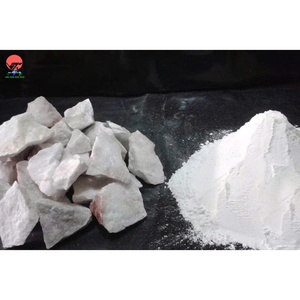 Carbonato de calcio Nhat Thang líder en la industria para recubrimientos duraderos - Product Image 4