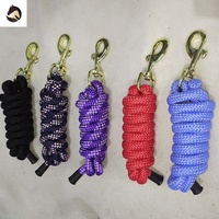 Câble de plomb en Nylon arc-en-ciel écologique, cheval arc-en-ciel, meilleur produit fabricant en inde, m