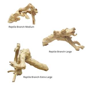 Suministros Ecológicos para Reptiles y Anfibios para Dueños de Reptiles - Product Image 2