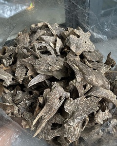 Copeaux d'agarwood 100% naturels Aquilaria Crassna (forme cosmique) AZ Oud Vietnam AWC2 Quang Ngai Vietnam Oud Wood Incense Perfume - Product Image 1