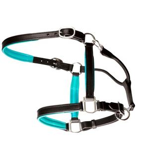 Halter de cheval en cuir véritable de qualité Supper avec bandeau nasal et cou rembourrés en néoprène souple bleu clair à un prix abordable - Product Image 2