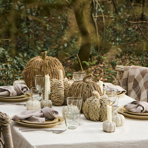 Panier citrouille élégant en rotin tressé à la main, haute qualité, décoration d'automne, vente en gros usine OEM ODM - Product Image 2