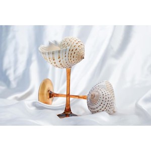 El vidrio de concha marina más vendido, perfecto para restaurantes, agrega un toque refinado a cualquier bar o mesa de comedor. - Product Image 3