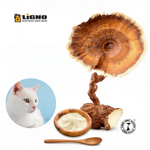สารสกัดเห็ดนมเสือ LiGNO TM02 ชนิดน้ำ สูตรเสริมภูมิคุ้มกันสำหรับสัตว์เลี้ยง ผลิตจากน้ำสกัด บรรจุในถัง ผ่านการรับรองมาตรฐาน GMP - Product Image 1