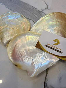 Concha de Ostra Marina Pulida de Nácar Dorado Natural Grande de 11 CM para Exportación al por Mayor - Product Image 4
