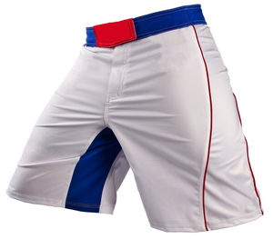 Pantalones Cortos de MMA con Logotipo Impreso, Nuevo Diseño, Color Liso, Ligeros, Ropa de Boxeo de Primera Calidad, Elásticos y Transpirables - Product Image 1