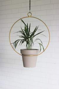 Support mural en métal sur mesure pour plantes, fabriqué par un fabricant fiable, pour les projets d'aménagement paysager - Product Image 5