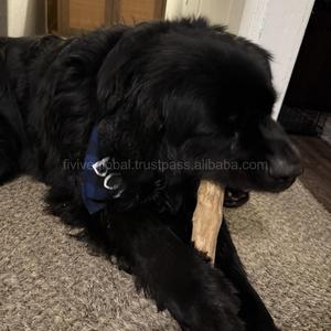 Bâtonnets à mâcher en bois de café pour chiens, fabriqués au Vietnam, bâtonnets en bois naturel durable, ODM, faible MOQ - Product Image 4