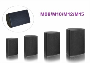 Haut-parleur PA passif professionnel 2 voies de 10 pouces, 200 W RMS, 800 W de crête, 107 dB Sens. Haut-parleur 8 Ohm 90x90 avec boîtier en MDF de 15 mm pour scène et église - Product Image 2