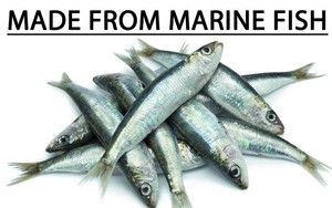 Fertilizante Líquido de Pescado de Alta Calidad, Efectivo para el Crecimiento de Plantas, Terra Bio Naturals, Exportadores al por Mayor del Sur de la India - Product Image 5