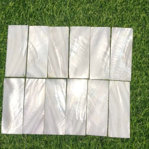 Écailles carrées en nacre naturelle personnalisables-Matériau MOP de haute qualité - Product Image 3