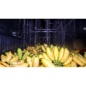 11 floz de jus pressé à froid banane - Product Image 2