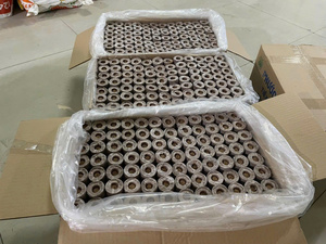 Meilleures ventes : Pellets de coco durables de qualité supérieure, disques de tourbe compressés de haute qualité, disques écologiques de rétention d'eau pour le jardinage - Product Image 5